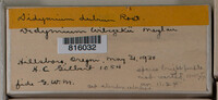 Image Associated With the Occurence